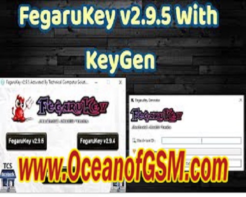 FegaruKey Latest Version 2.9.5 With Keygen